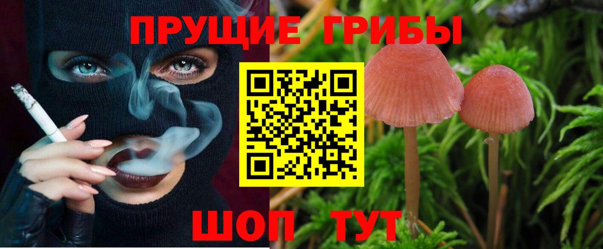Галлюциногенные грибы мицелий Буйнакск