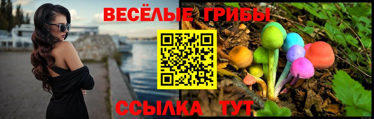 Буйнакск  сколько стоит  Вход с VPN  Псилоцибиновые грибы мухоморы 